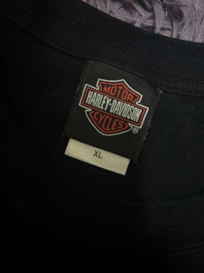 希少)00s Harley-Davidson フレイム　Tシャツ