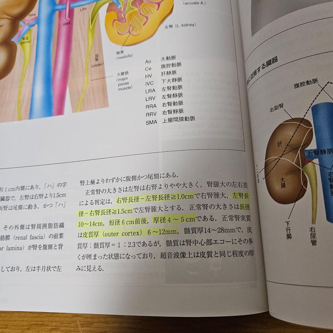 腹部超音波テキスト 上・下腹部