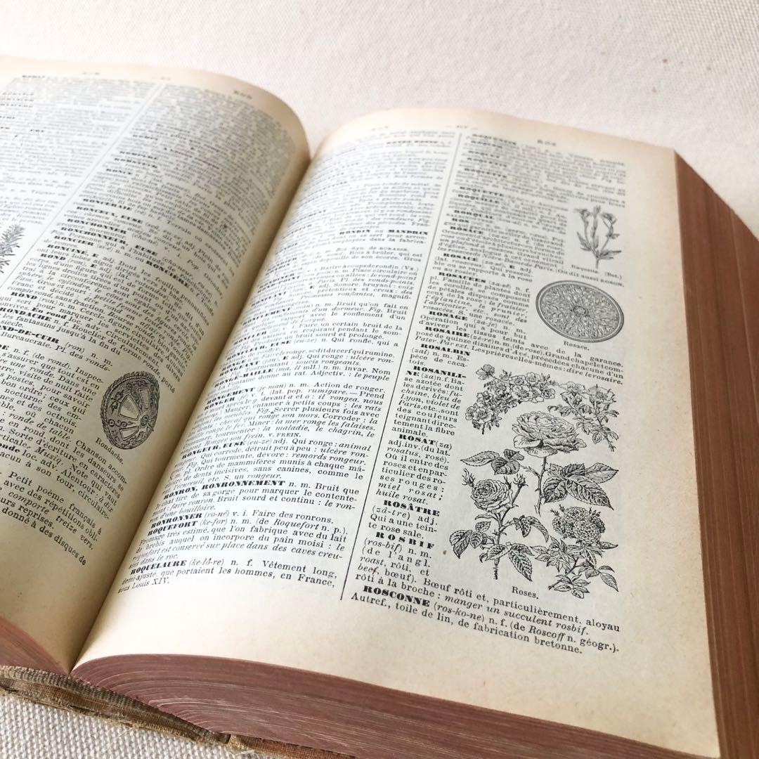 1924年版　タンポポの装丁が可愛いフランスの大百科事典　ヴィンテージ