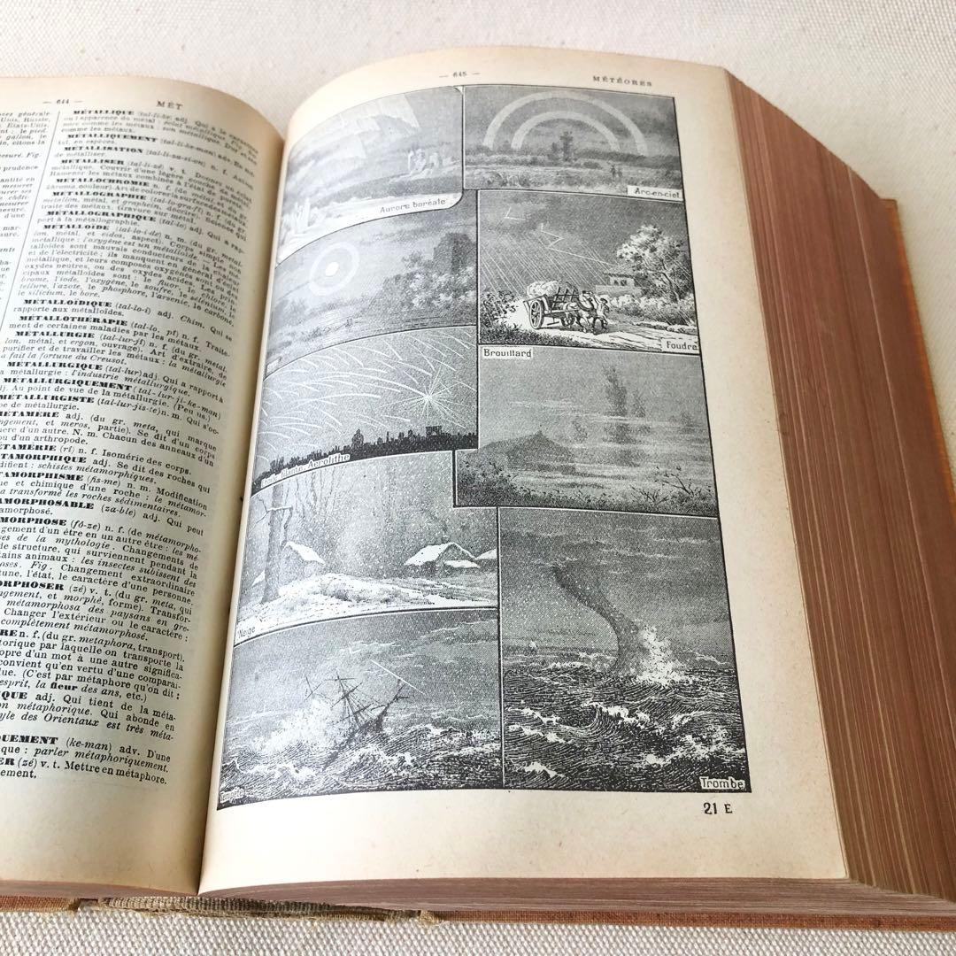 1924年版　タンポポの装丁が可愛いフランスの大百科事典　ヴィンテージ