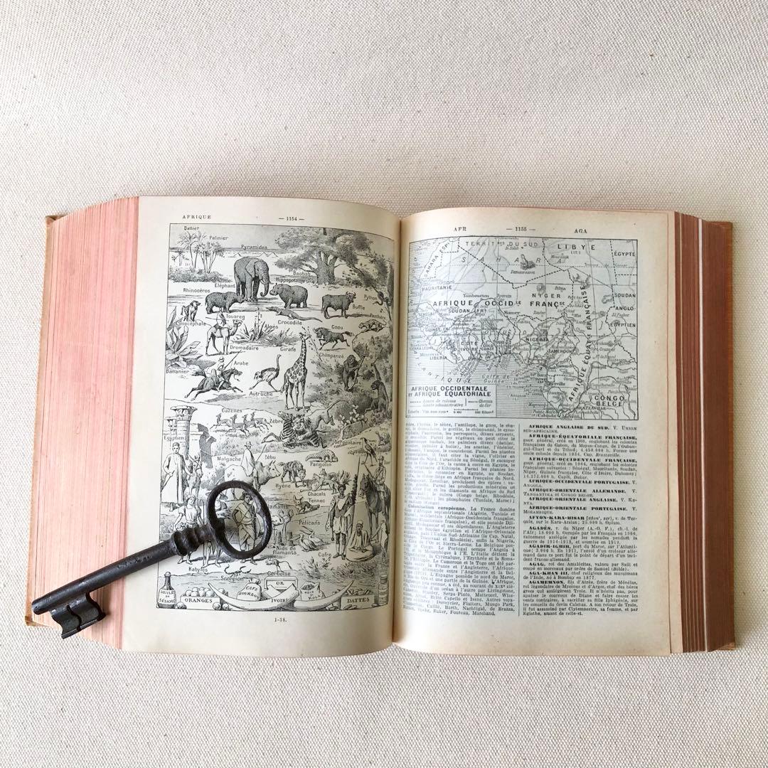 1924年版　タンポポの装丁が可愛いフランスの大百科事典　ヴィンテージ