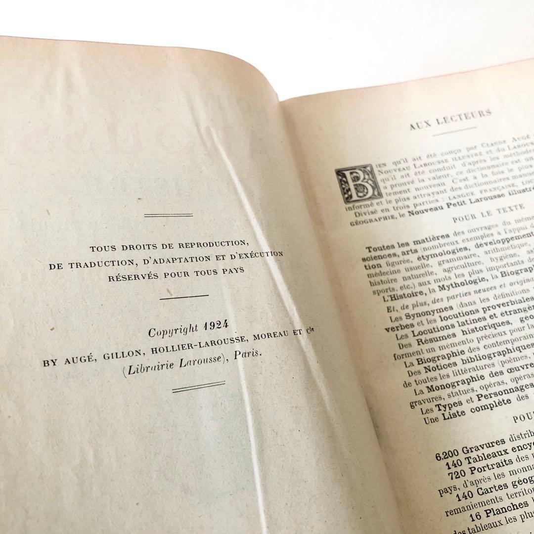 1924年版　タンポポの装丁が可愛いフランスの大百科事典　ヴィンテージ