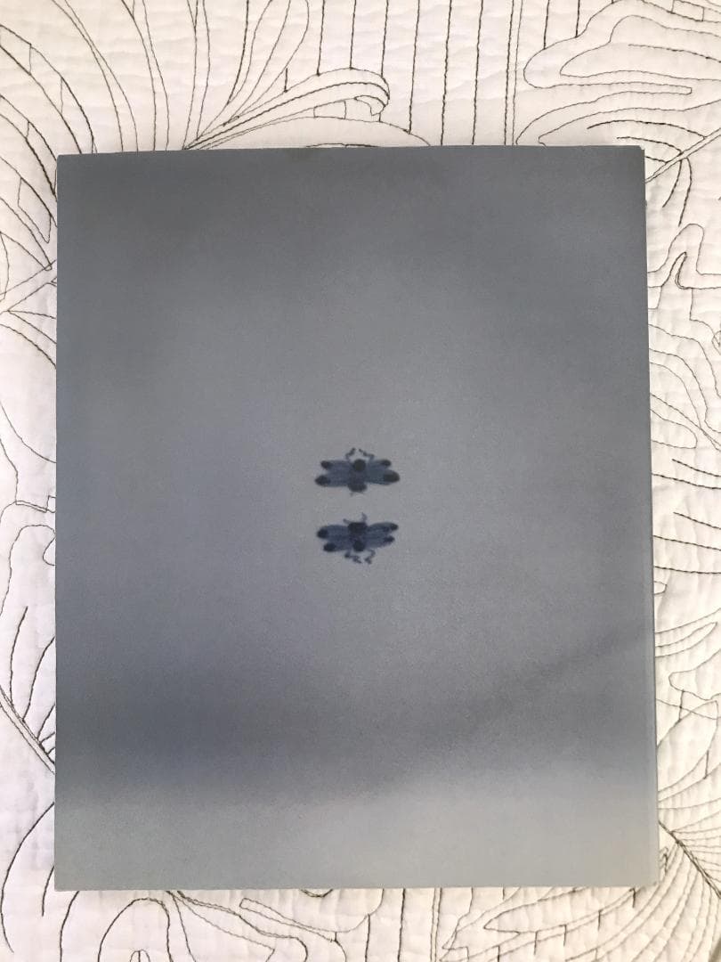 図録/ 特別展　浅川巧生誕120年記念「浅川伯教・巧兄弟の心と眼　朝鮮時代の美」