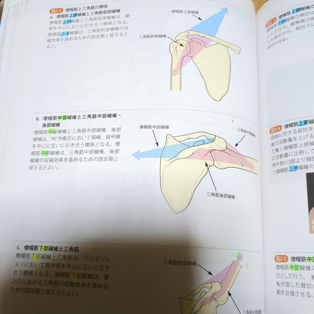 改訂第2版 機能解剖学的触診技術 整形外科運動療法ナビゲーション 4冊セット