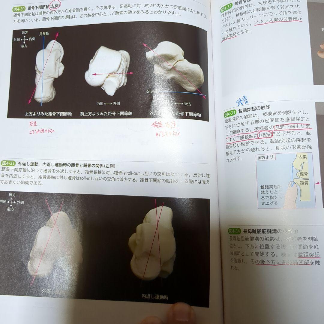 改訂第2版 機能解剖学的触診技術 整形外科運動療法ナビゲーション 4冊セット