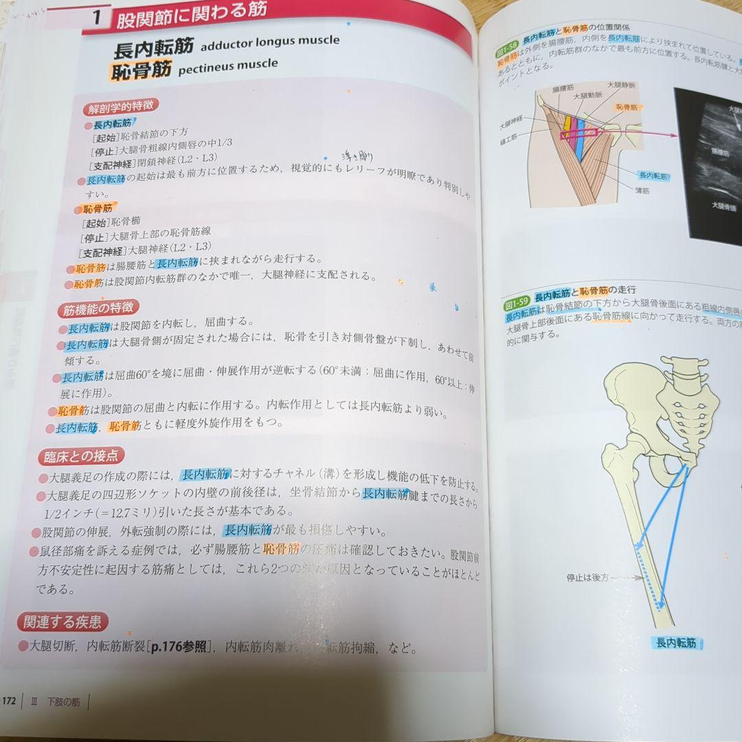 改訂第2版 機能解剖学的触診技術 整形外科運動療法ナビゲーション 4冊セット