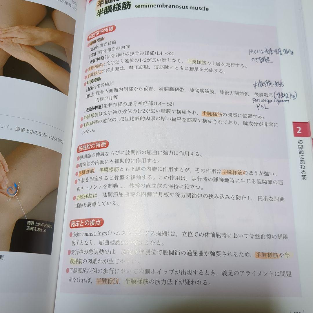 改訂第2版 機能解剖学的触診技術 整形外科運動療法ナビゲーション 4冊セット