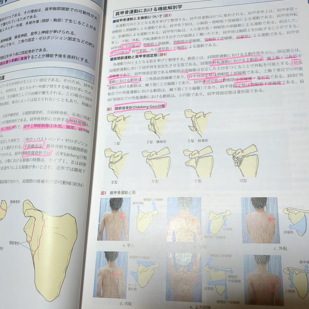 改訂第2版 機能解剖学的触診技術 整形外科運動療法ナビゲーション 4冊セット