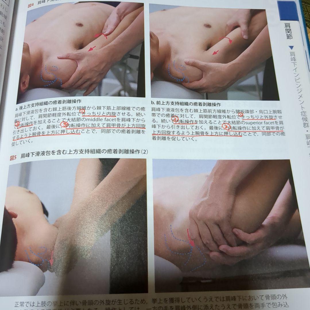 改訂第2版 機能解剖学的触診技術 整形外科運動療法ナビゲーション 4冊セット