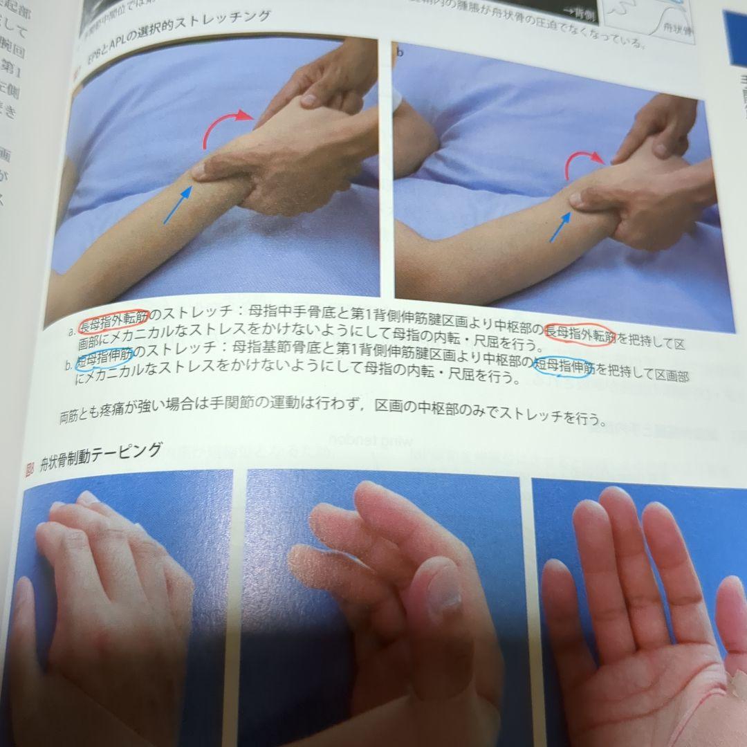 改訂第2版 機能解剖学的触診技術 整形外科運動療法ナビゲーション 4冊セット