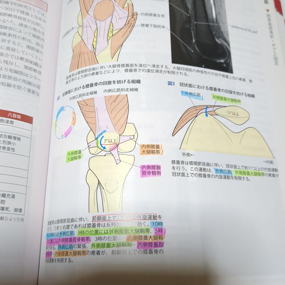改訂第2版 機能解剖学的触診技術 整形外科運動療法ナビゲーション 4冊セット
