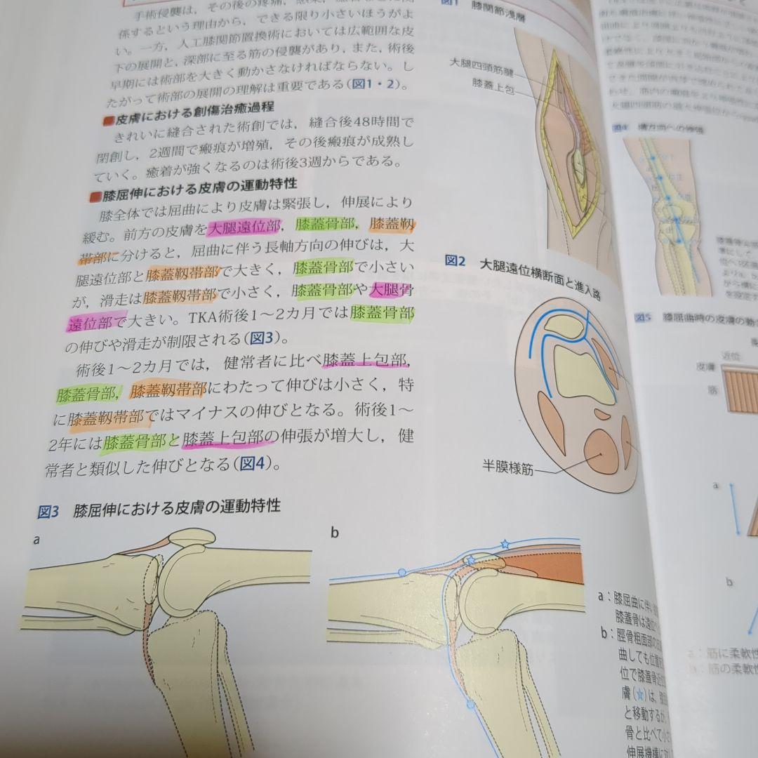 改訂第2版 機能解剖学的触診技術 整形外科運動療法ナビゲーション 4冊セット