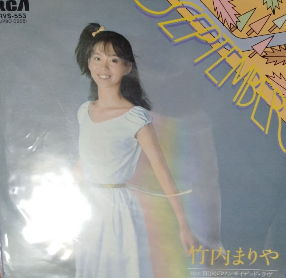 竹内まりや 山下達郎 レコード