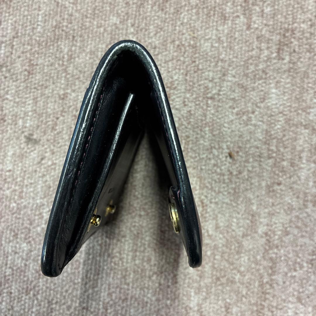 WILDSWANS ワイルドスワンズ 京都店限定 スフマート PALM パーム