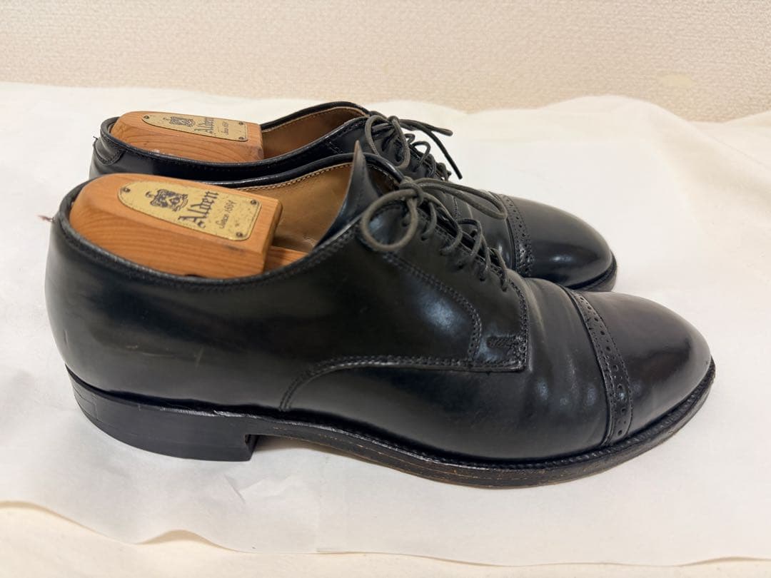 H*o様 Alden 56251 サイズ8 1/2 D