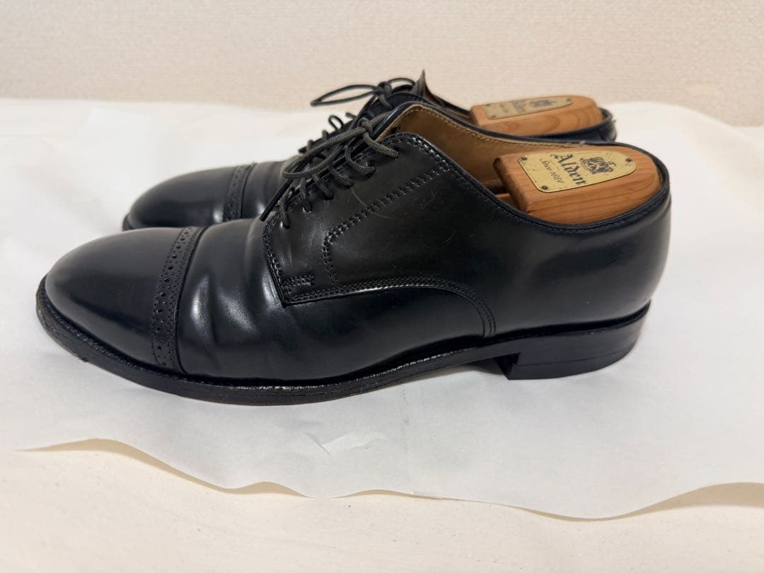 H*o様 Alden 56251 サイズ8 1/2 D