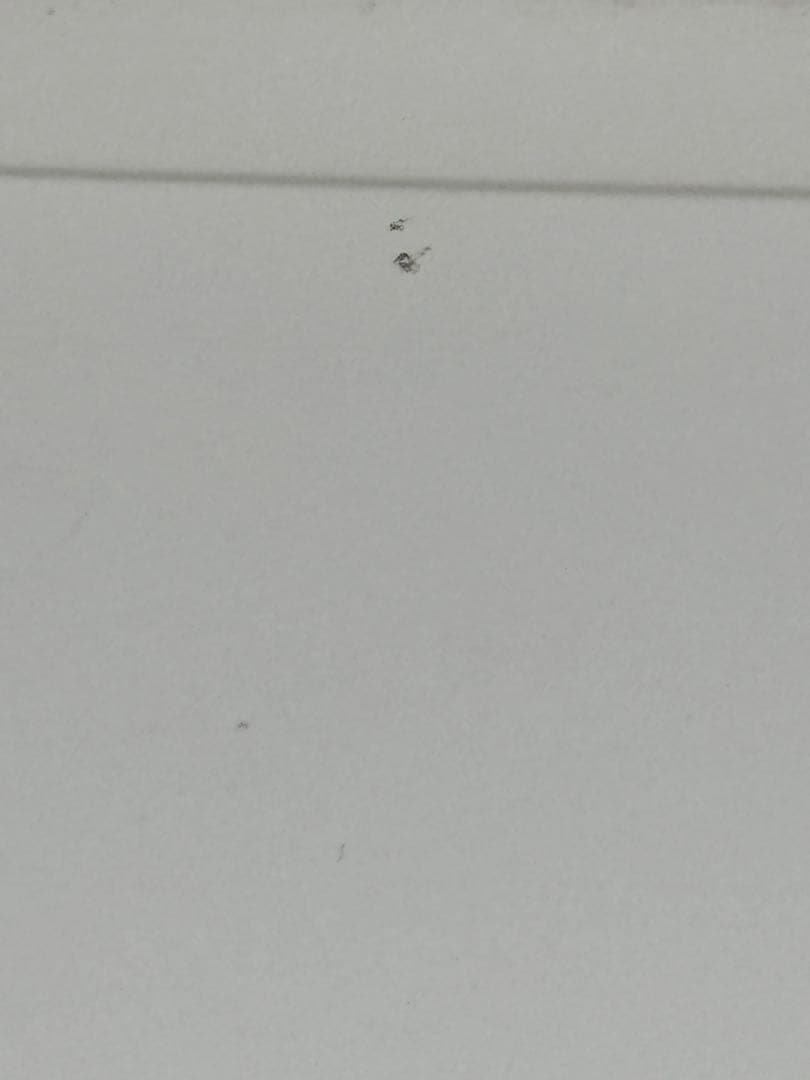 日立 過熱水蒸気オーブンレンジ MRO-SS7【中古品】