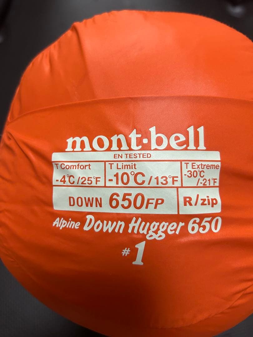 アルパインダウンハガー650 #1