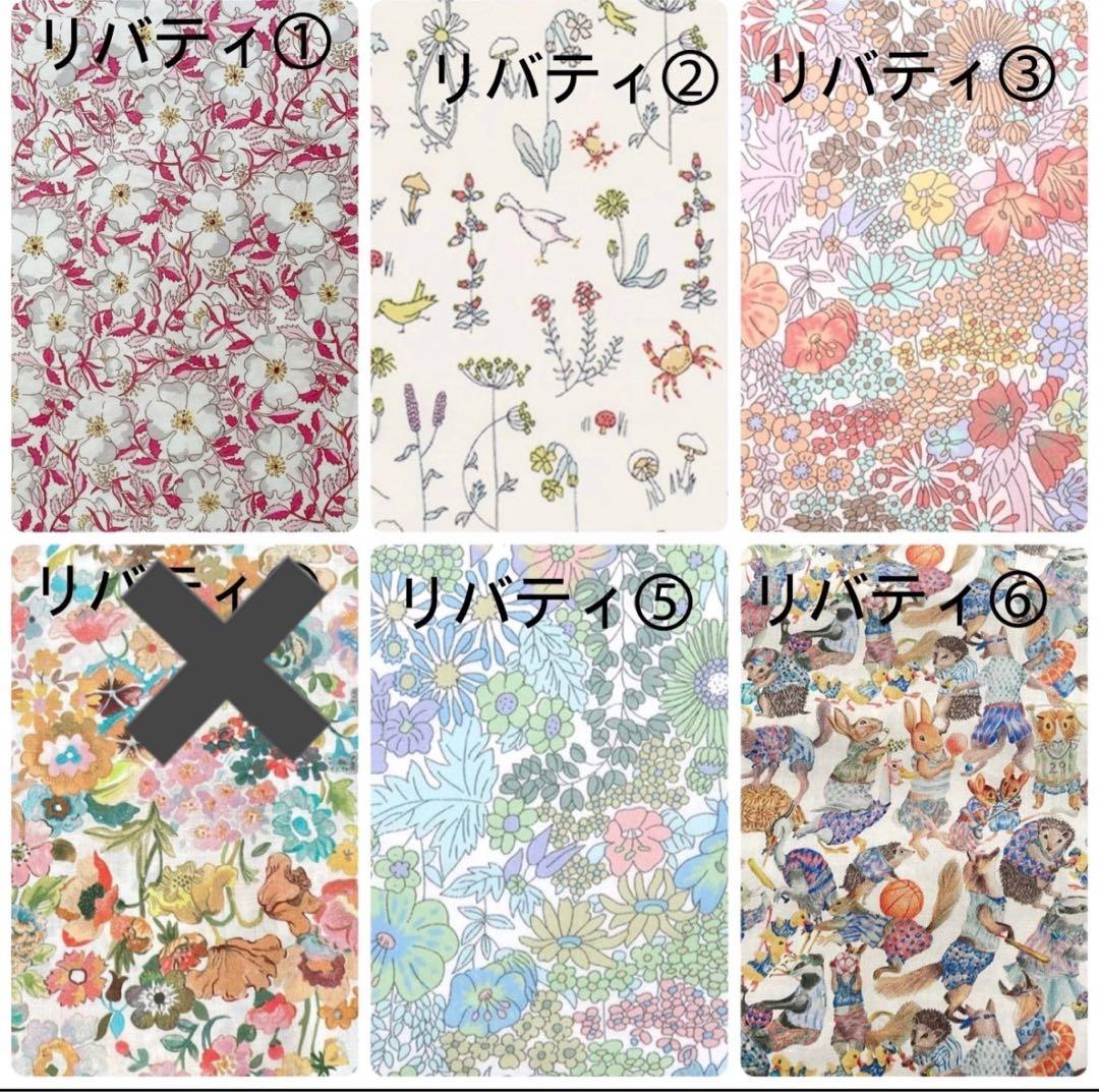 チヨコページプティアルソンサイズバッグインバッグ