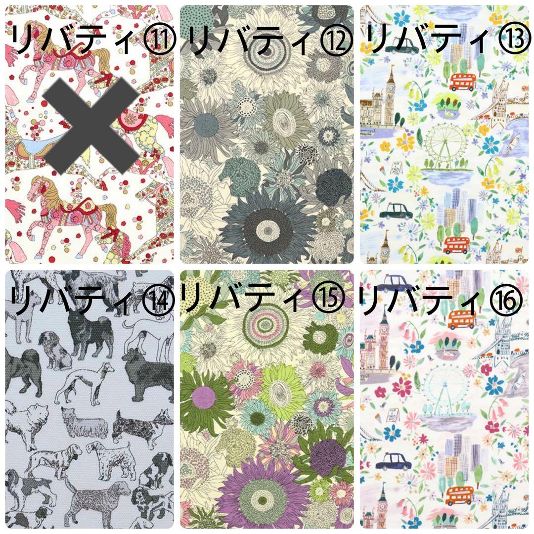 チヨコページプティアルソンサイズバッグインバッグ