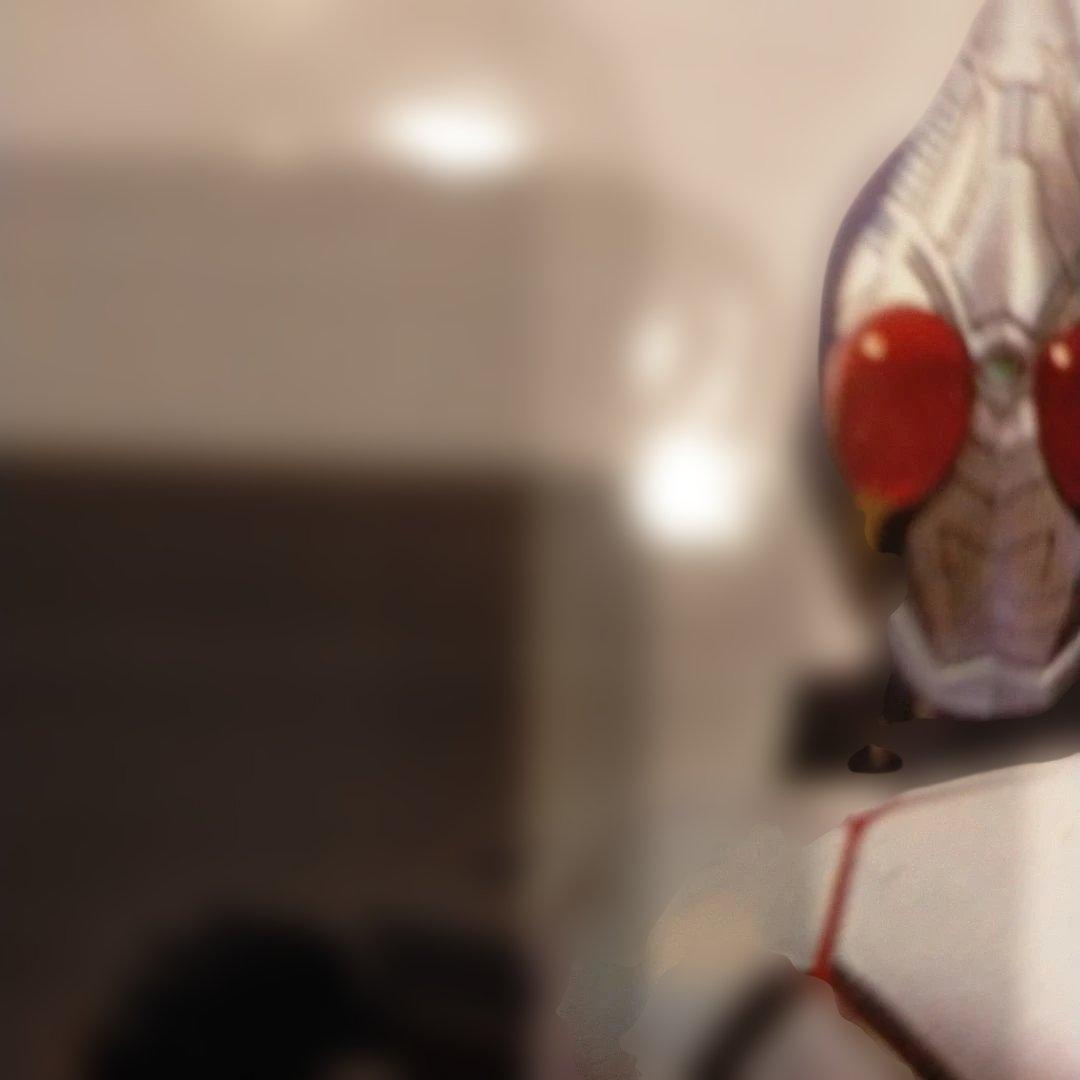 仮面ライダー DVDコレクション 平成編　専用バインダー