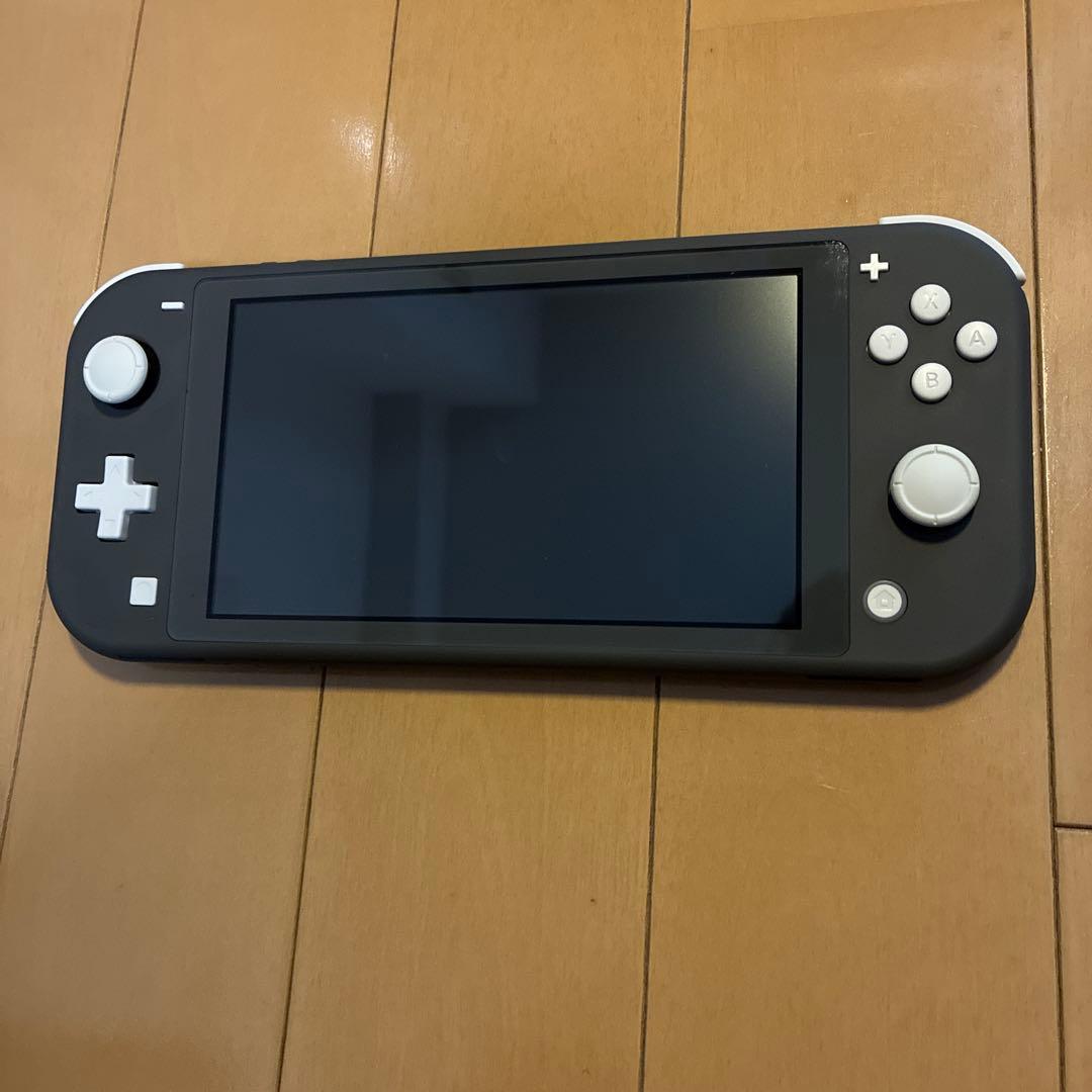 Nintendo Switch Lite グレー　専用ケース付き