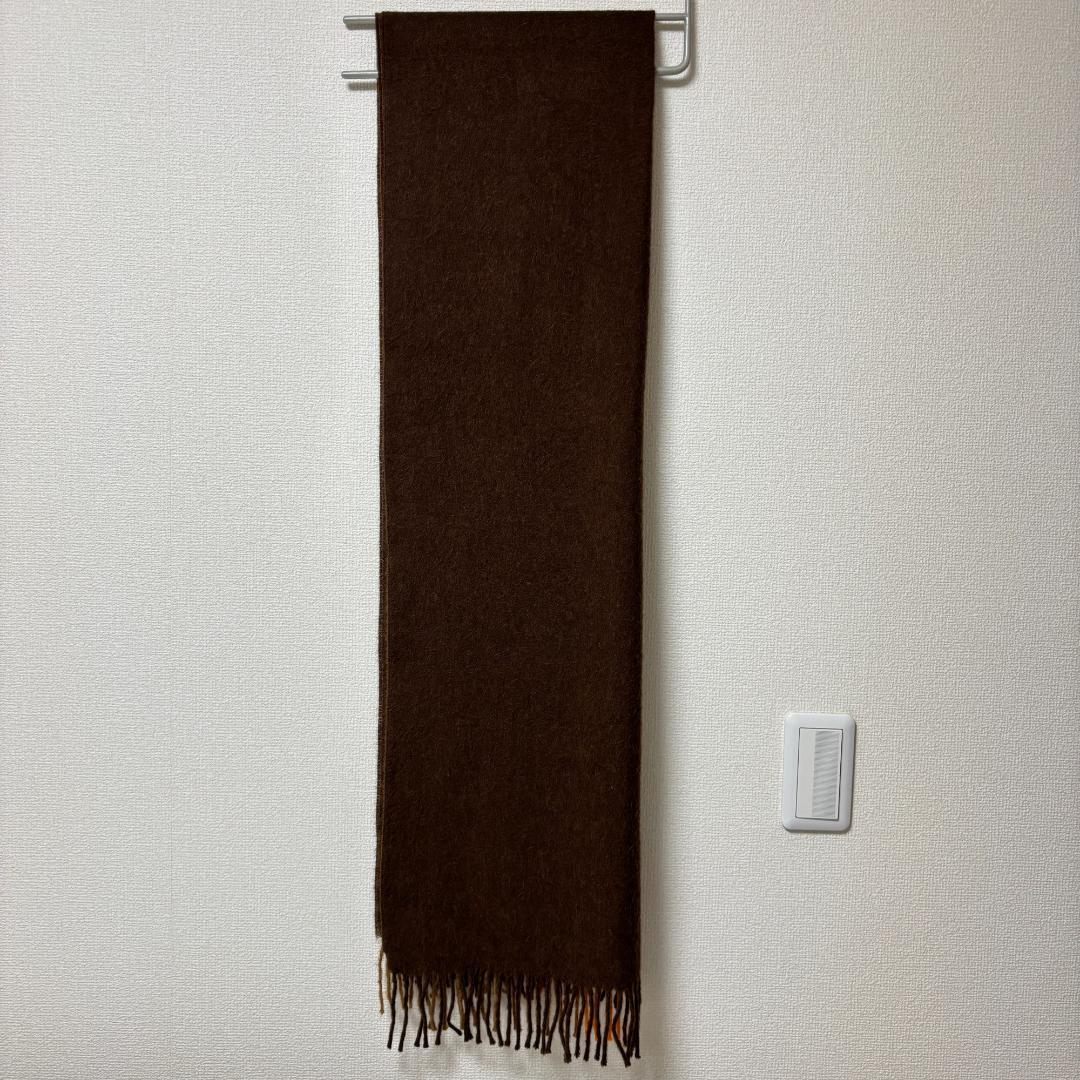 プロフ必読　むさむさTHE INOUE BROTHERS アルパカ