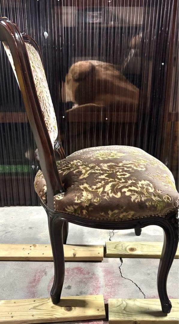 N2278 カリモク　ドマーニ　金華山　ルイ15世　鋲打ち　ダイニングチェア