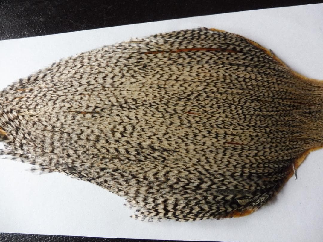 メッツ METZ コックハックルケープ グリズリーバリアント