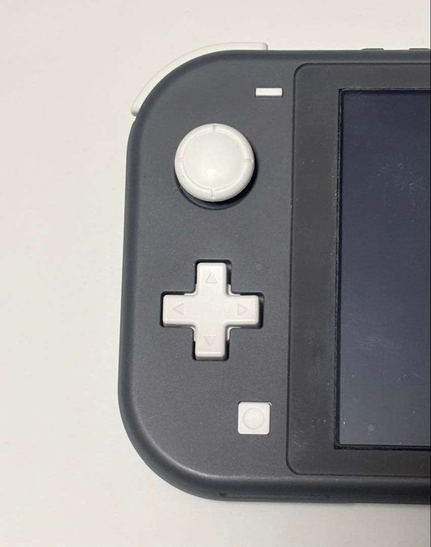 Nintendo Switch lite 本体 グレー【充電コード、ケース付】