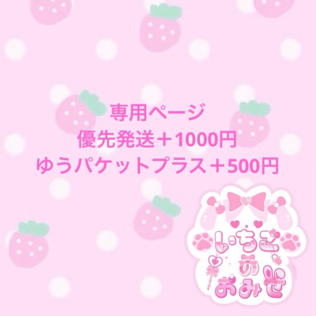 専用ページ 2点おまとめ発送