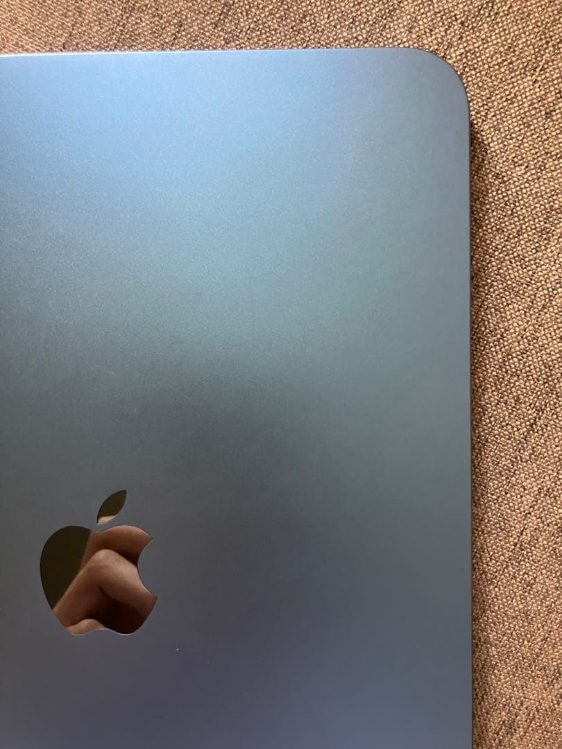 Apple iPad (第10世代) 256GB ブルー 本体 純正ケース付