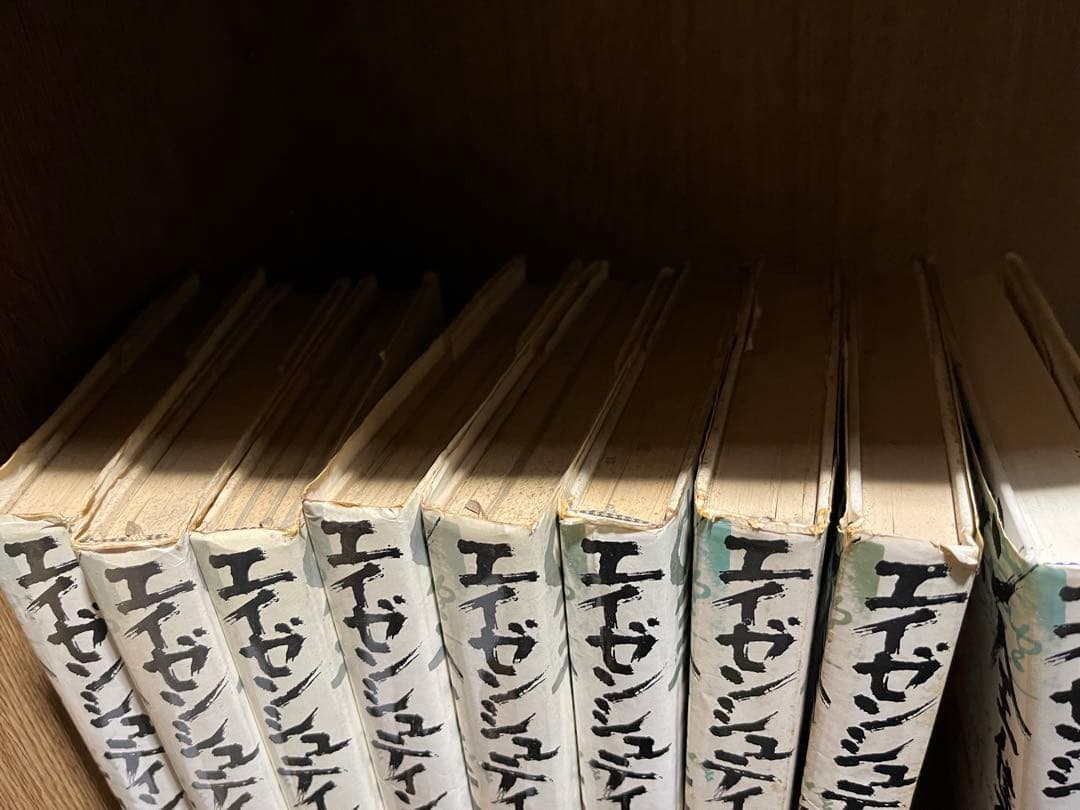 エイゼンシュテイン全集　10冊