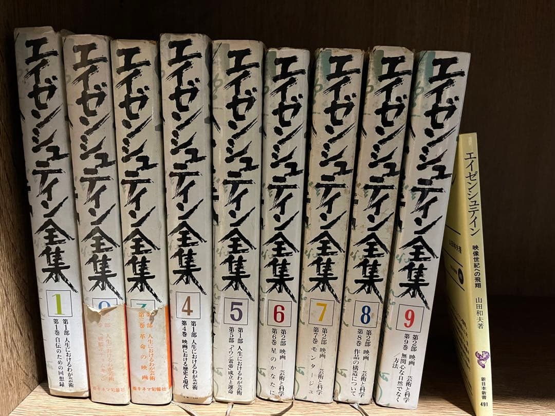 エイゼンシュテイン全集　10冊