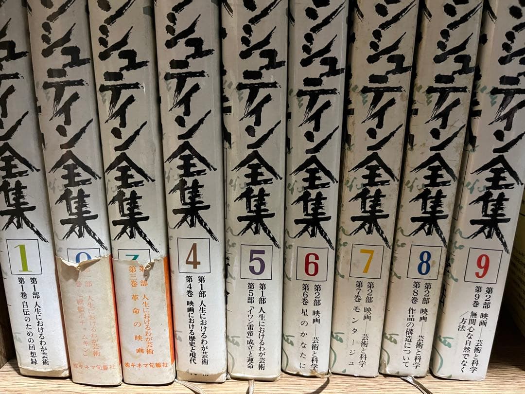エイゼンシュテイン全集　10冊