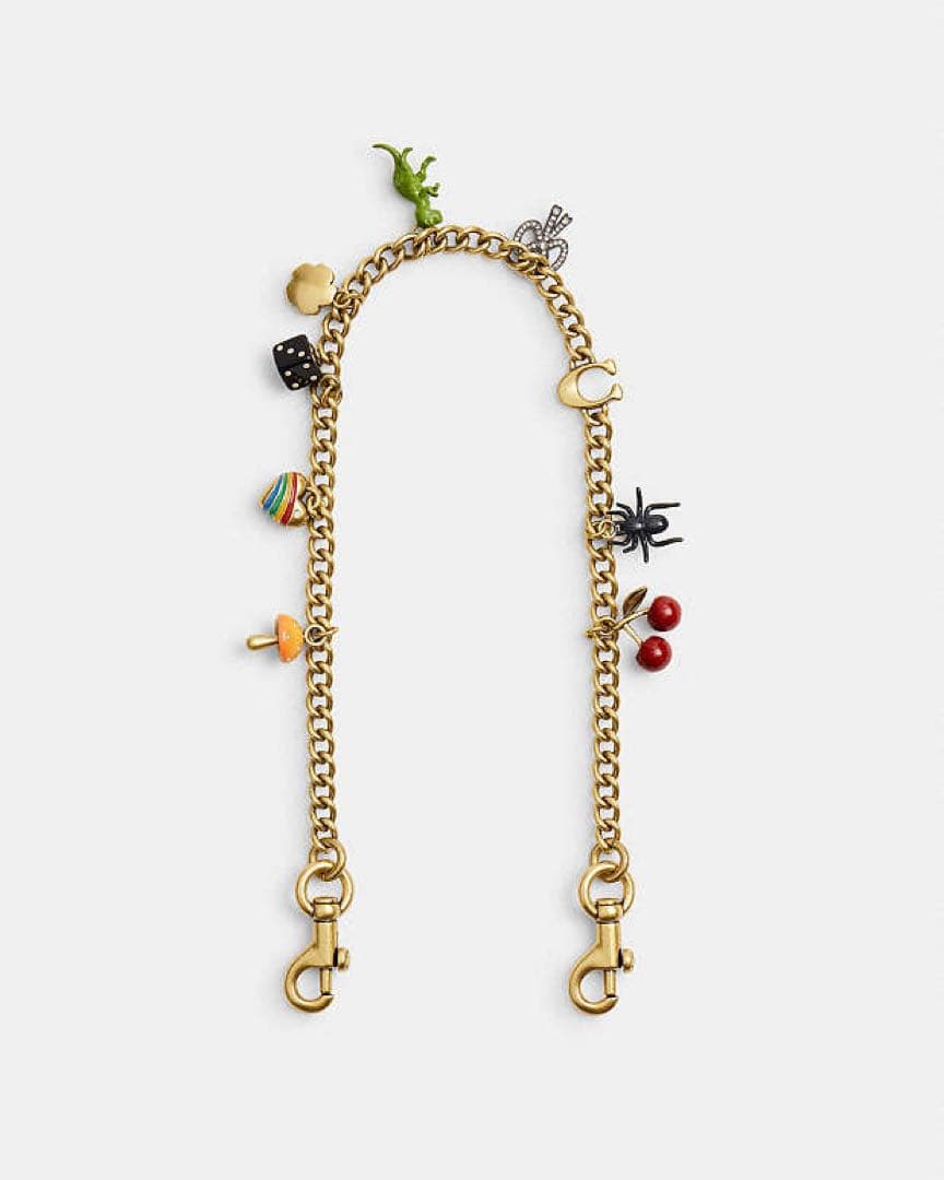 コーチ チェーン ストラップ・チャーム