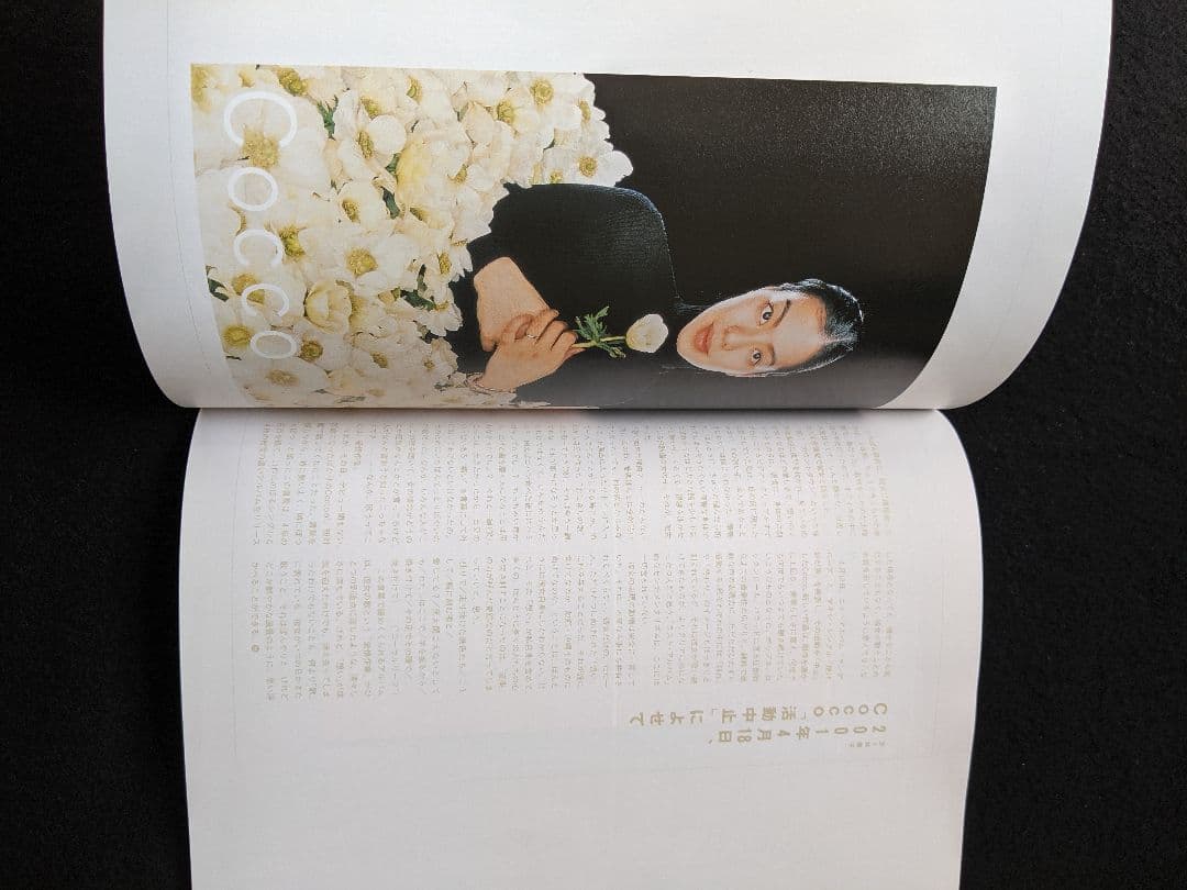 BRIDGE 2001　山崎まさよし　エレファントカシマシ　宮本浩次　忌野清志郎