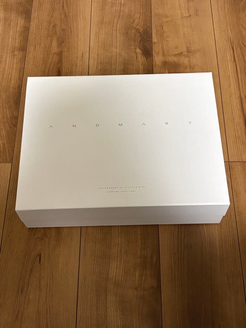 バッグ ANDMARY Valentine ribbon leather bag