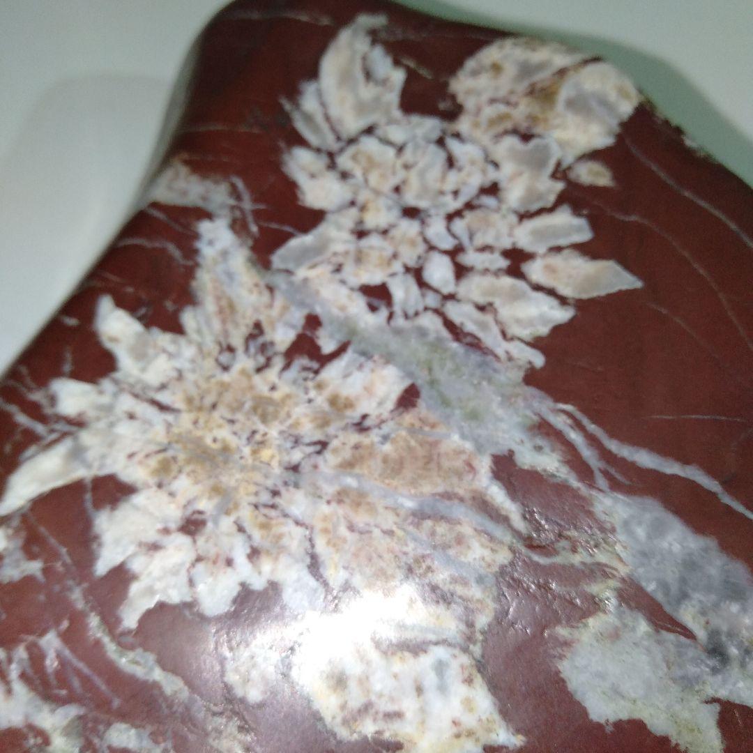 菊花石　水石　エーデルワイス　美麗台付き１個