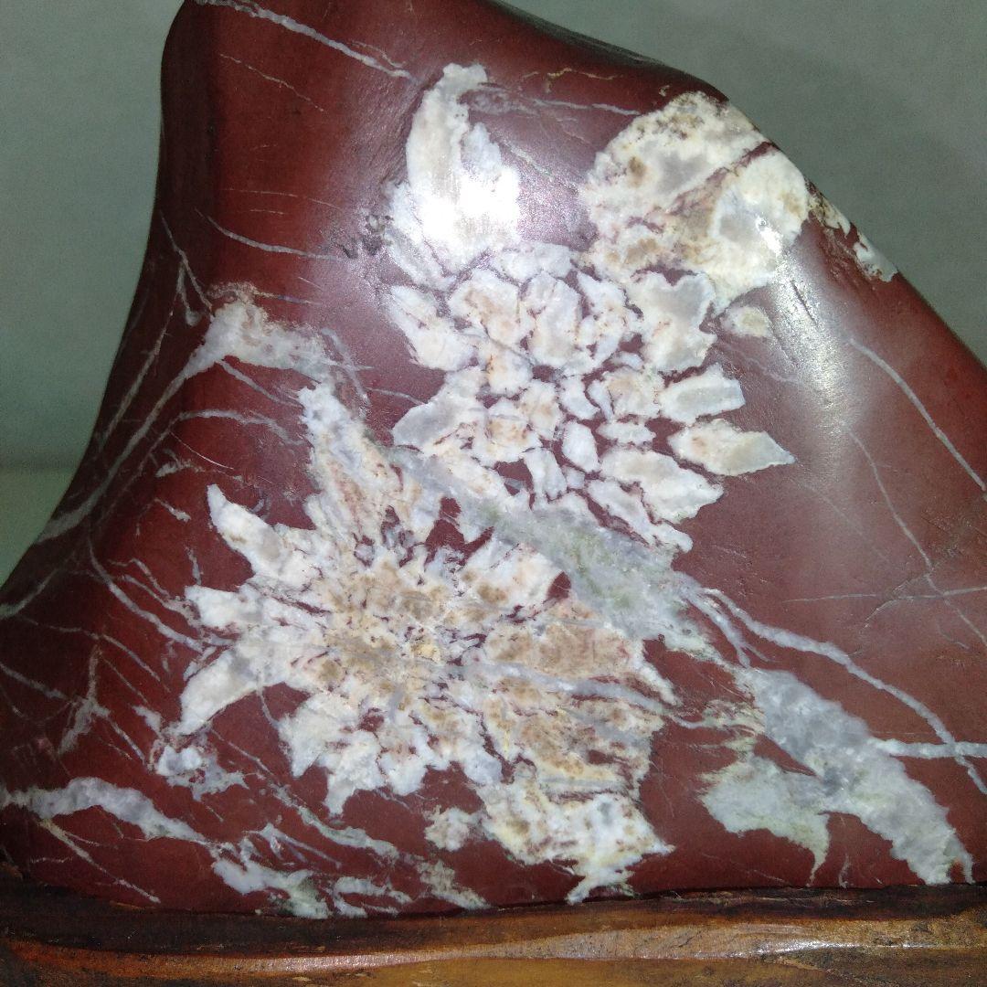 菊花石　水石　エーデルワイス　美麗台付き１個