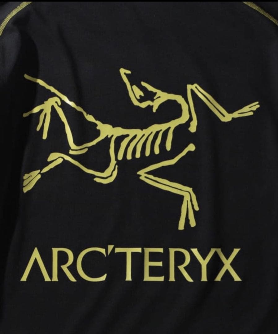 アークテリクス SystemA Copal long