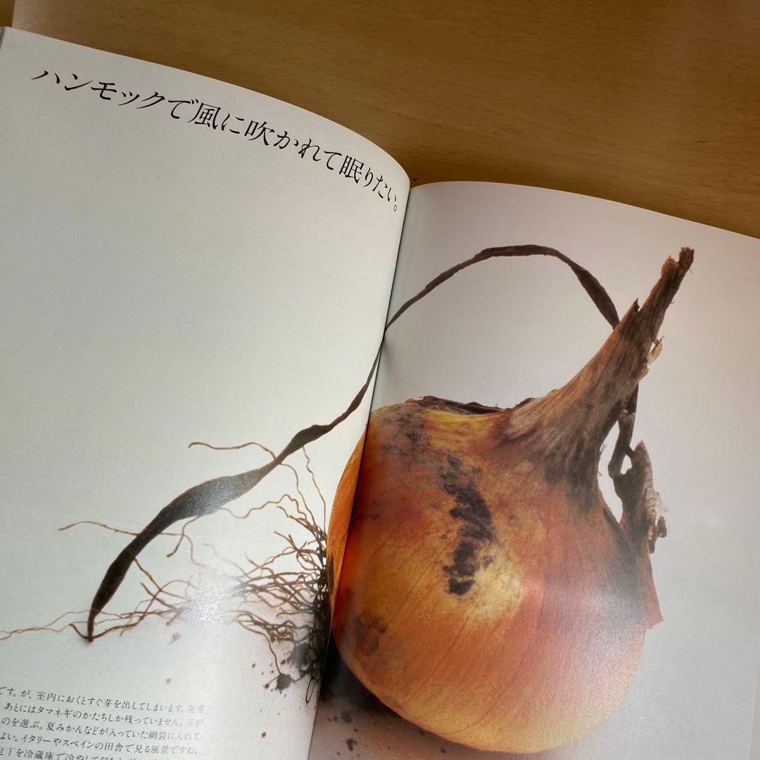 GAN HOSOYA ART DIRECTION イメージの翼 2 細谷厳