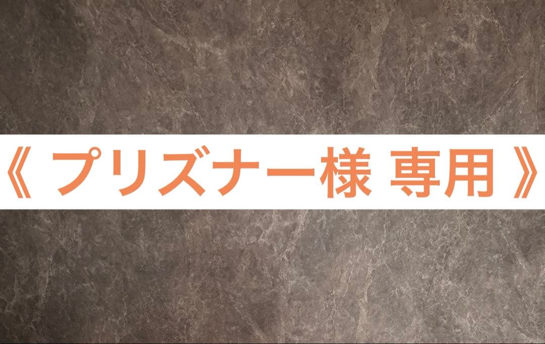 《 プリズナー 》③