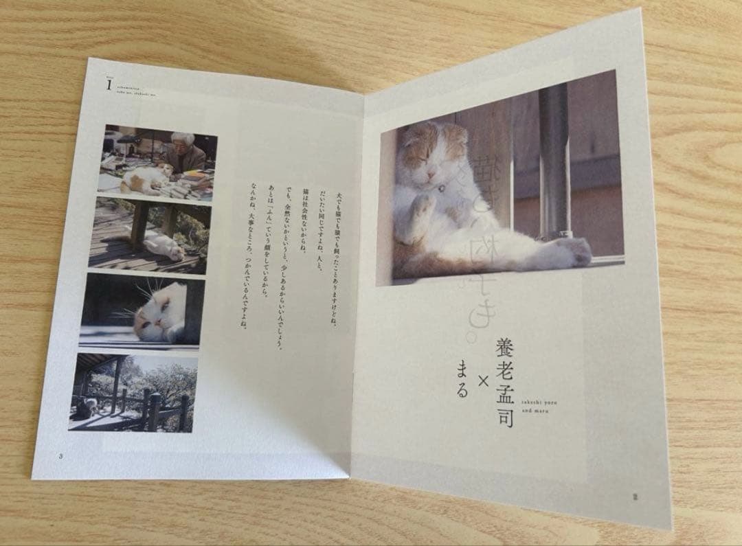 ネコメンタリー 猫も、杓子も。DVD 2枚組