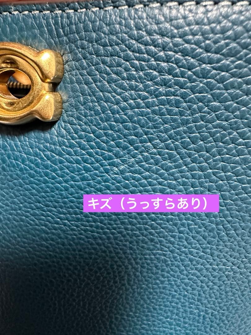 coach ウィロウ19 ソフト バケット バッグ　ブラス/マリン