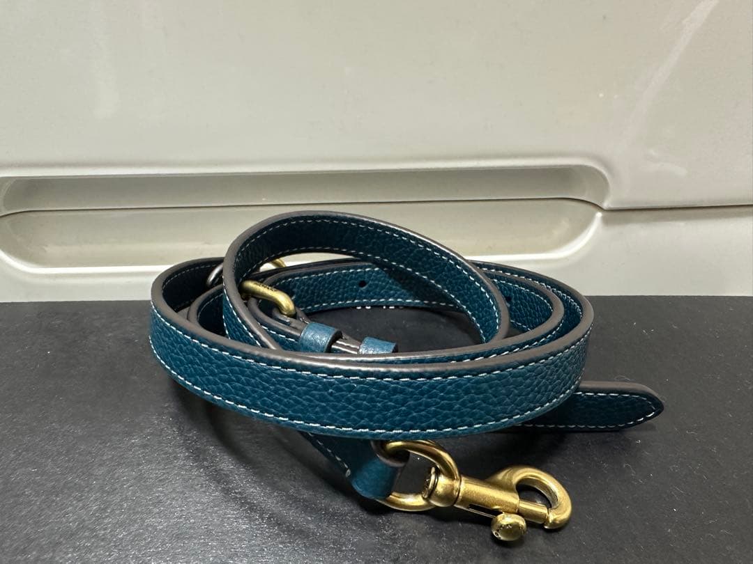 coach ウィロウ19 ソフト バケット バッグ　ブラス/マリン