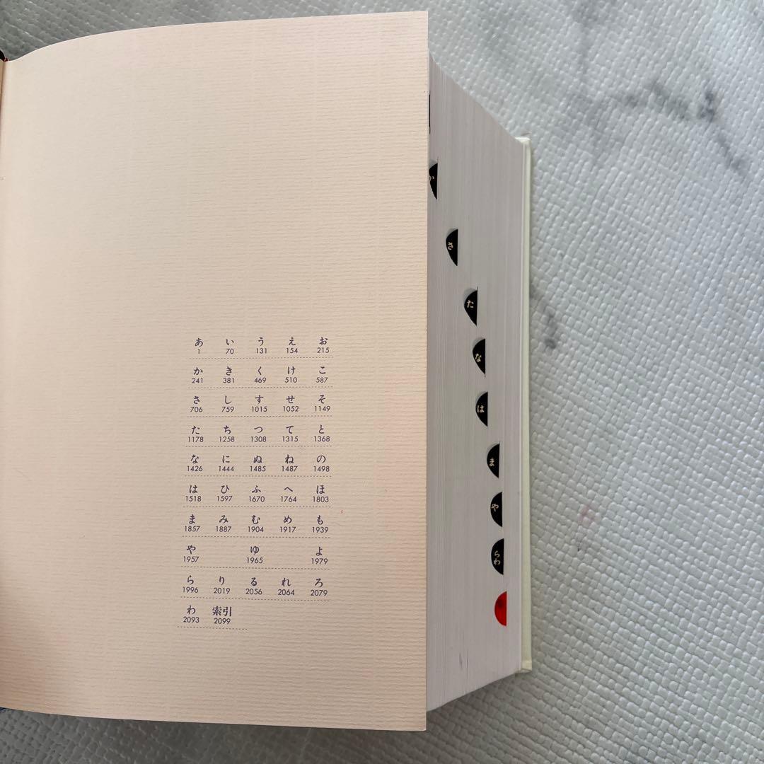 南山堂 医学大辞典 豪華版