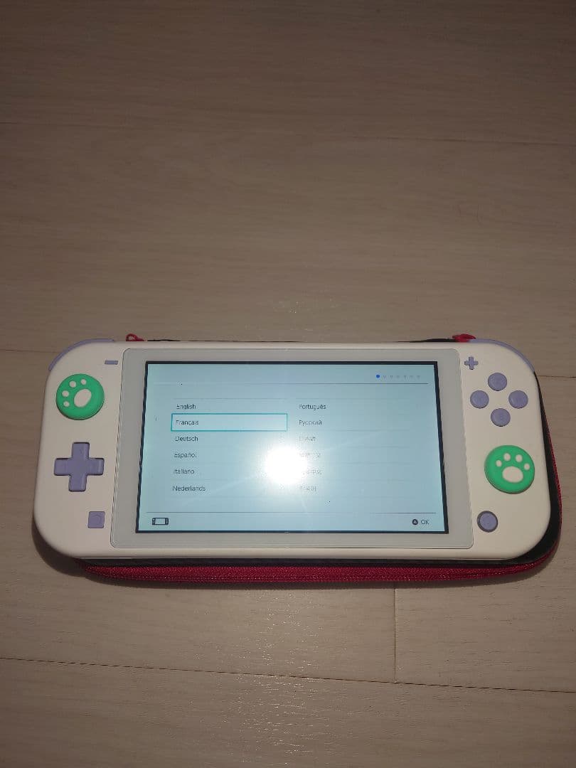 Nintendo Switch Nintendo Switch Light