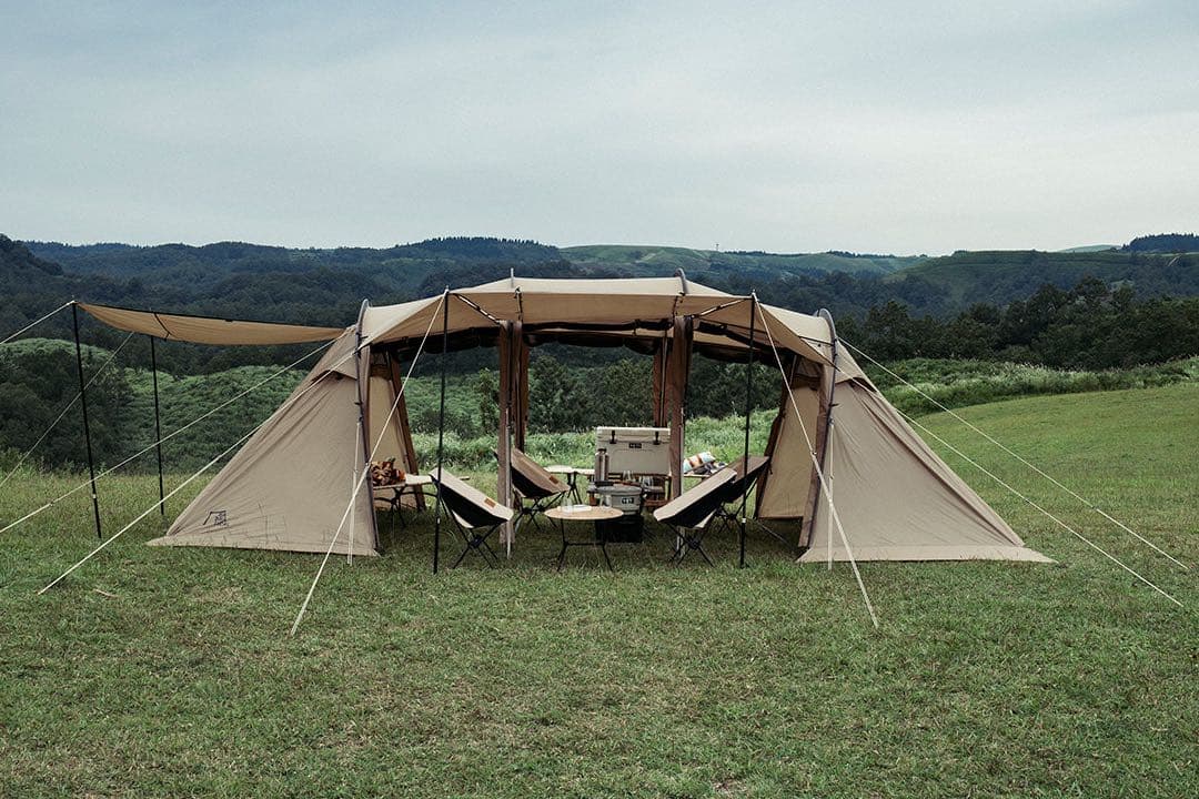 サバティカルアルニカ