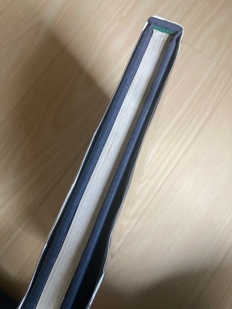 アート・デザイン・音楽 Sleeping Beauty: Memorial Photography